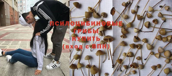 дурь Осташков